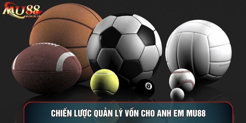 Chiến lược quản lý vốn cho anh em MU88 Chiến lược quản lý vốn cho anh em MU88
