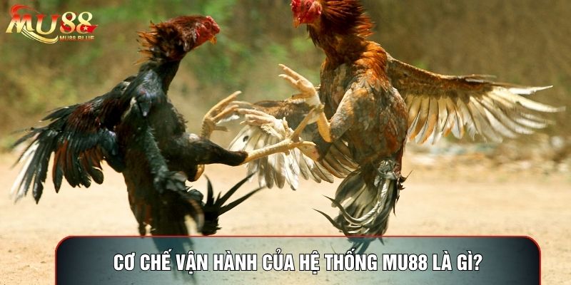 Cơ chế vận hành của hệ thống MU88 là gì? Cơ chế vận hành của hệ thống MU88 là gì?