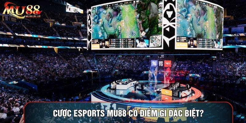 Cược eSports MU88 có điểm gì đặc biệt?