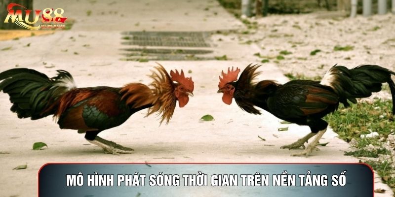 Mô hình phát sóng thời gian trên nền tảng số Mô hình phát sóng thời gian trên nền tảng số