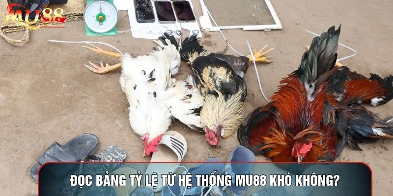 Đọc bảng tỷ lệ từ hệ thống MU88 khó không? Đọc bảng tỷ lệ từ hệ thống MU88 khó không?