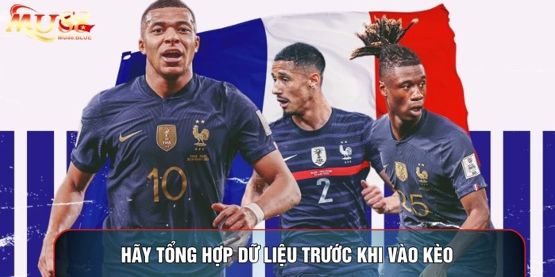 Hãy tổng hợp dữ liệu trước khi vào kèo