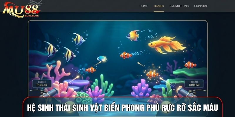 Hệ sinh thái sinh vật biển phong phú rực rỡ sắc màu Hệ sinh thái sinh vật biển phong phú rực rỡ sắc màu