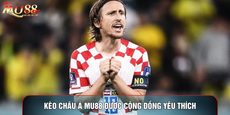 Kèo châu Á MU88 được cộng đồng yêu thích Kèo châu Á MU88 được cộng đồng yêu thích
