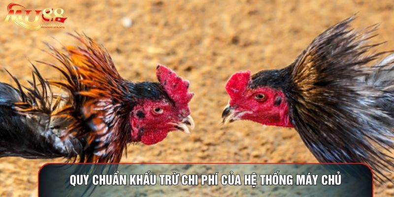 Quy chuẩn khấu trừ chi phí của hệ thống máy chủ Quy chuẩn khấu trừ chi phí của hệ thống máy chủ