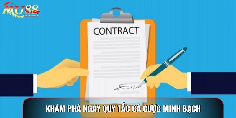 Khám phá ngay quy tắc cá cược minh bạch Khám phá ngay quy tắc cá cược minh bạch