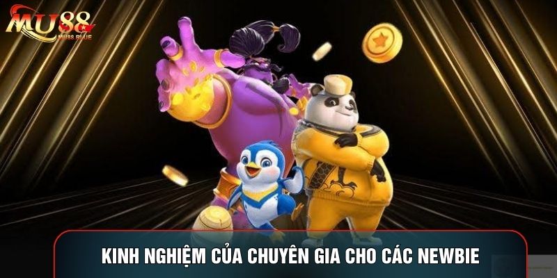 Kinh nghiệm của chuyên gia cho các newbie Kinh nghiệm của chuyên gia cho các newbie