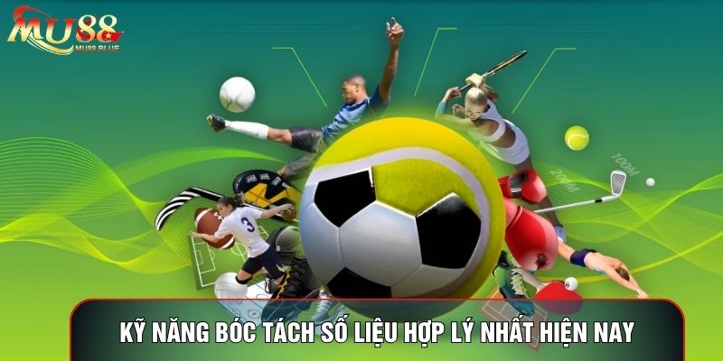Kỹ năng bóc tách số liệu hợp lý nhất hiện nay Kỹ năng bóc tách số liệu hợp lý nhất hiện nay