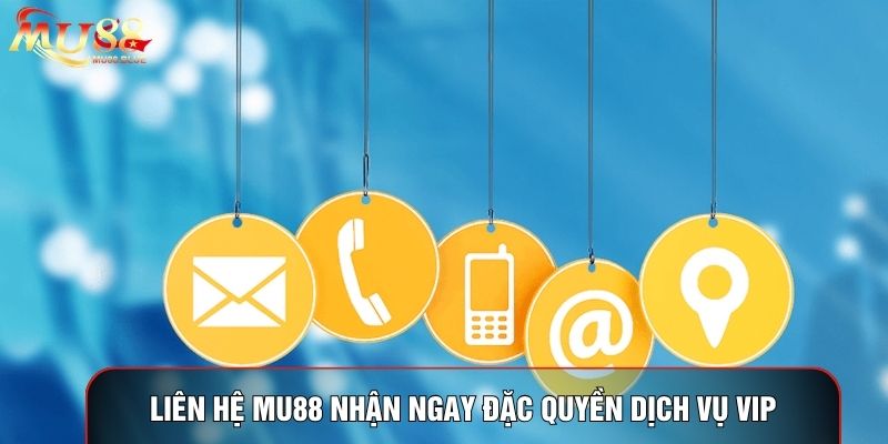 Liên hệ MU88 nhận ngay đặc quyền dịch vụ vip Liên hệ MU88 nhận ngay đặc quyền dịch vụ vip