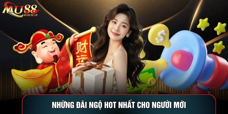 Những đãi ngộ hot nhất cho người mới Những đãi ngộ hot nhất cho người mới