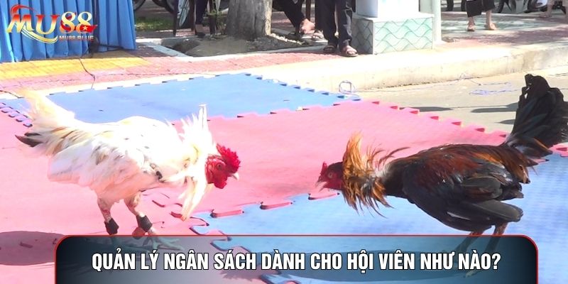 Quản lý ngân sách dành cho hội viên như nào? Quản lý ngân sách dành cho hội viên như nào?