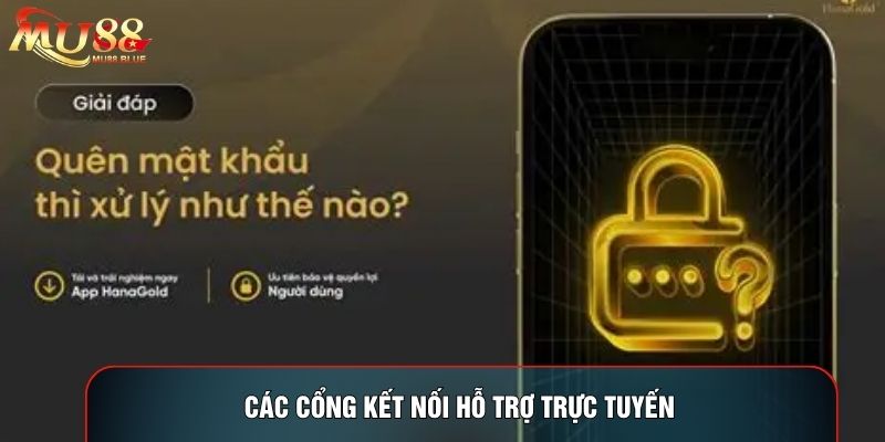 Các cổng kết nối hỗ trợ trực tuyến Các cổng kết nối hỗ trợ trực tuyến