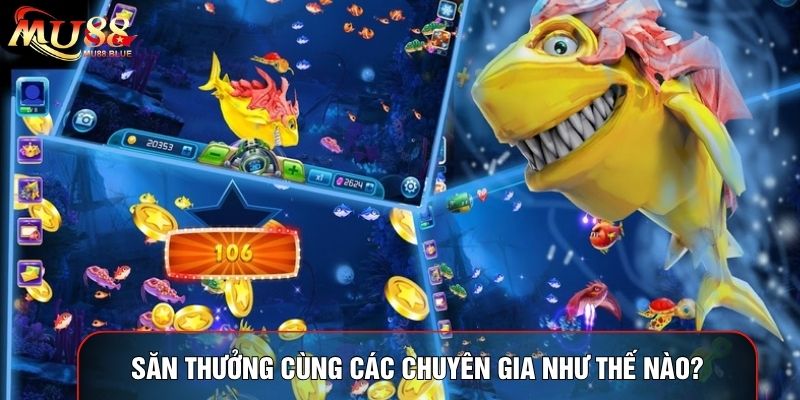 Săn thưởng cùng các chuyên gia như thế nào? Săn thưởng cùng các chuyên gia như thế nào?