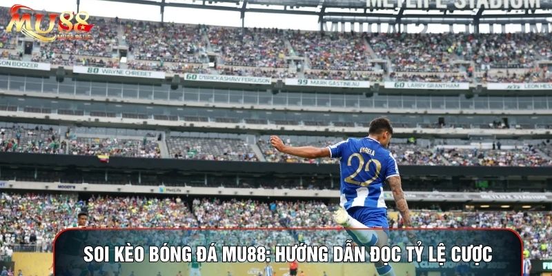 Soi Kèo Bóng Đá Mu88: Hướng Dẫn Đọc Tỷ Lệ Cược Chuẩn Xác