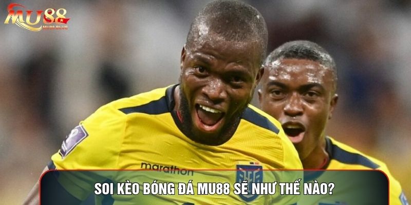 Soi kèo bóng đá MU88 sẽ như thế nào?